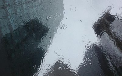 Arroser avec l’eau de pluie grâce à un récupérateur : bonne idée ?