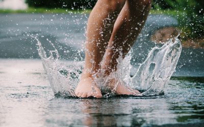 Récupérer l’eau de pluie : et si une meilleure solution existait ?