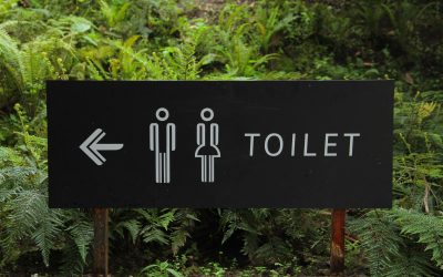 Remplacer eau des toilettes : économiser l’eau potable