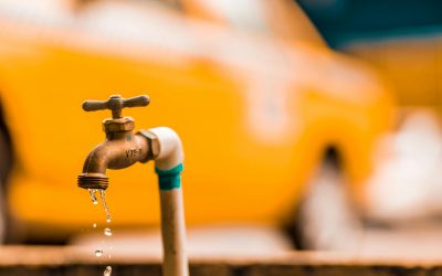 Comment utiliser ses eaux grises ?